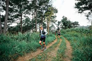 BIB: 
                            <button type="button" onclick="openModal(26036593)" class="btn btn-primary btn-sm float-right btn-popup" data-toggle="modal" data-target=".modal-high-quality">
                        <i class="fas fa-shopping-cart"></i> Add to Cart
                    </button>
                                            <button type="button" onclick="isThisMe(26036593, true)" class="btn btn-success btn-sm float-right btn-popup btn-isme hidden" data-toggle="tooltip" data-placement="bottom" title="นี่คือรูปของคุณใช่ไหม คลิกที่นี่เพื่อเอาเข้าอัลบั้ม">
                        <i class="fas fa-plus"></i> Add to album
                    </button>
                    <button type="button" onclick="isThisMe(26036593, false)" class="btn btn-warning btn-sm float-right btn-popup btn-isnotme hidden">
                        <i class="fas fa-ban"></i> Remove from album
                    </button>